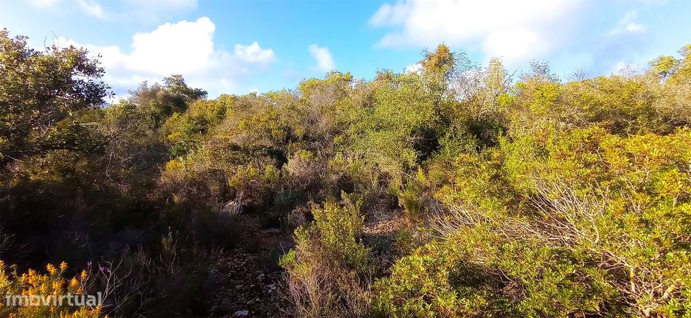 Terreno Rústico  Venda em Conceição e Estoi,Faro