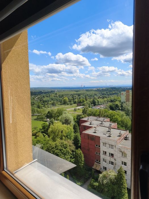 Przestronne studio do wynajęcia Sosnowiec Zagórze - Widok 5