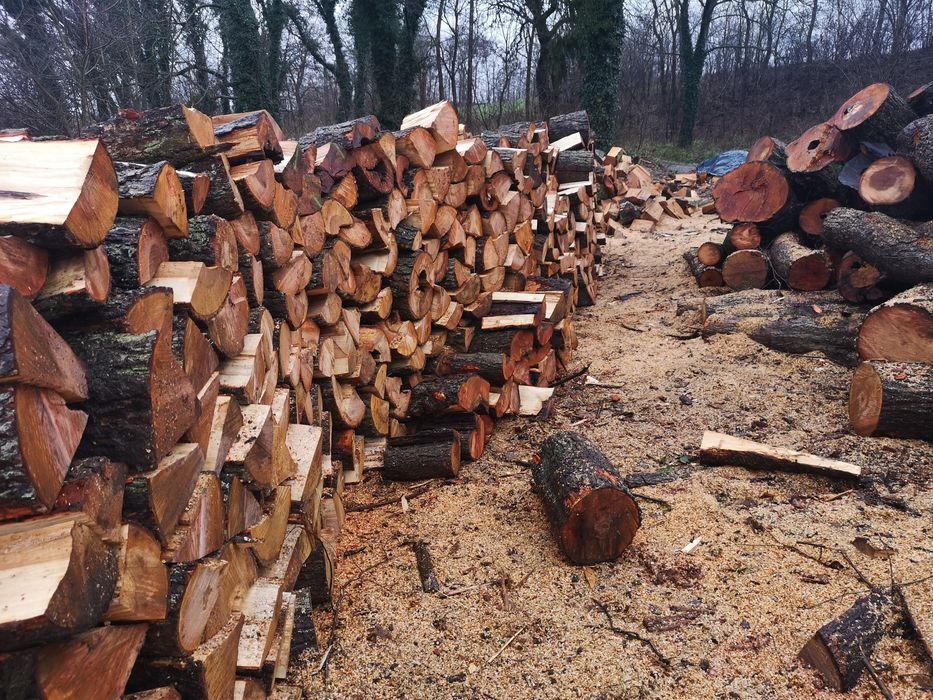 Drewno pełna paka jak na zdieciach dąb buk klon wiaz Olch brzoza sosna