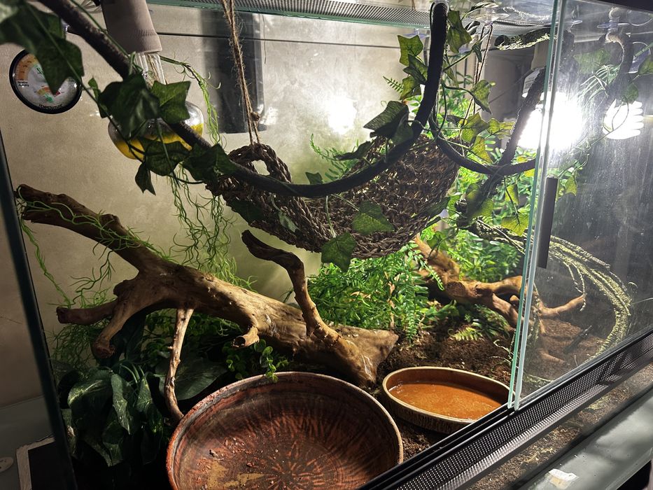 Великий тераріум ТЕРМІНОВО