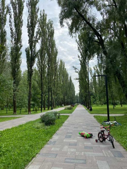 Є ГЕНЕРАТОР !!! 3-й поверх, Офіс чи Салон, 70 кв.м, метро, Теліги 25