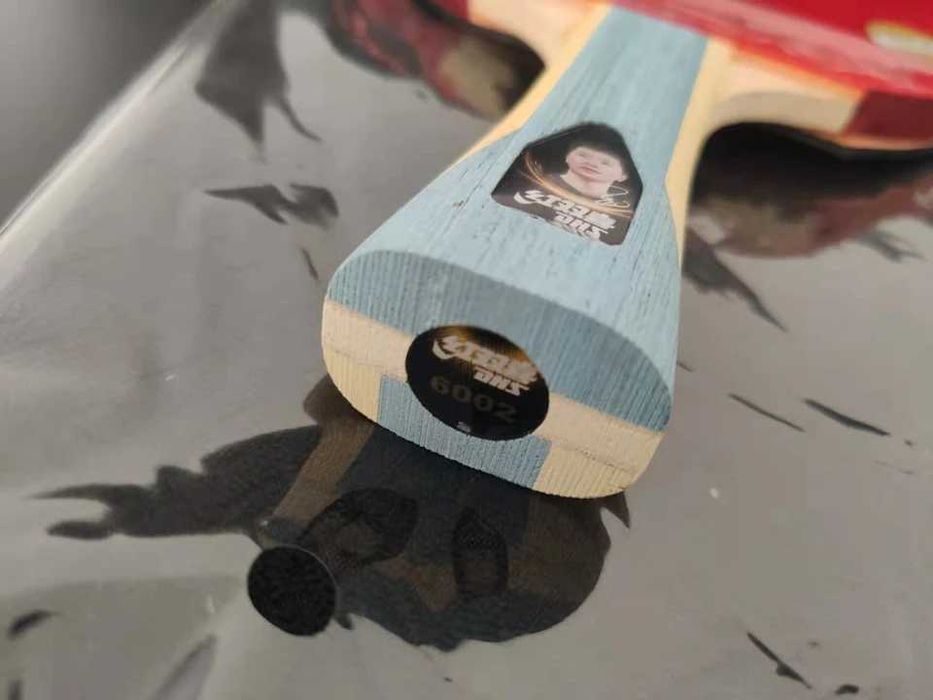 Ракетка настольный теннис dhs-h6002s: 1 999 грн. - Ігри з ракеткою ...