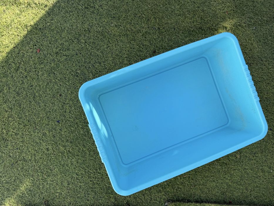 Caixa de areia para gatos