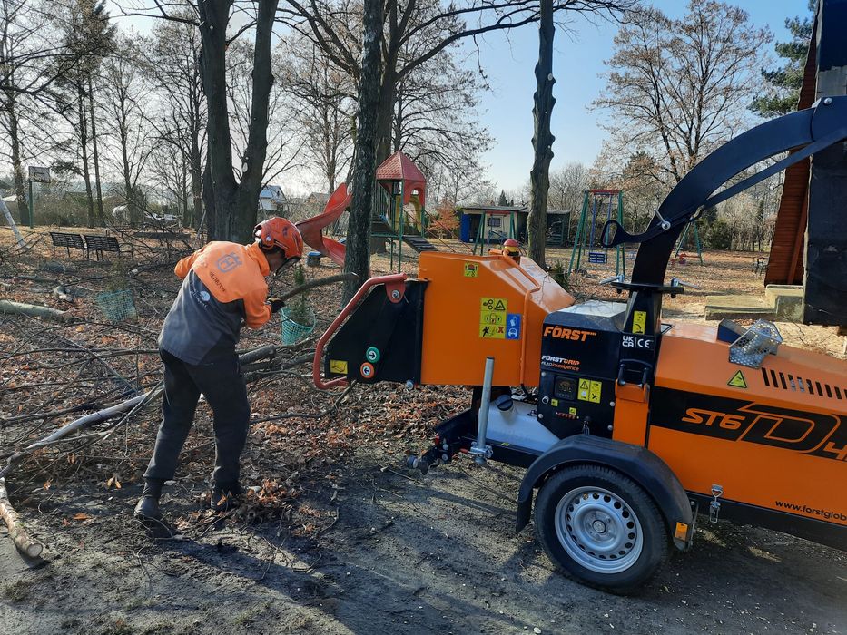 Cięcie przycinanie wycinka drzew Bełchatów Łódź Aleksandrów Pabianice