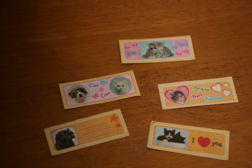 Autocolantes “Meus animais ainda mais divertidos”