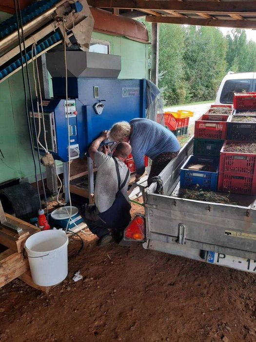 Wialnia do zboża,CZYSZCZALNIA do zboża AGM-5 t/h ( 2025! )