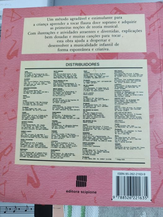 Livro flauta doce criança