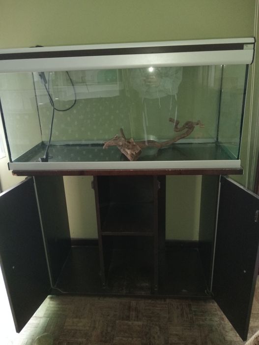 Aquário aquatlantis / terrário com armario e sistema de iluminação