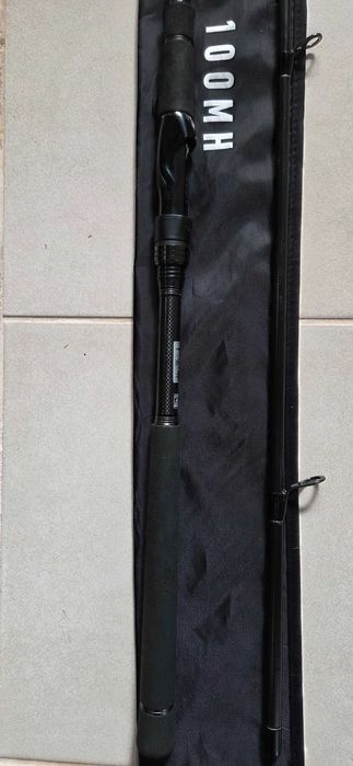 Daiwa Labrax AGS 100MH