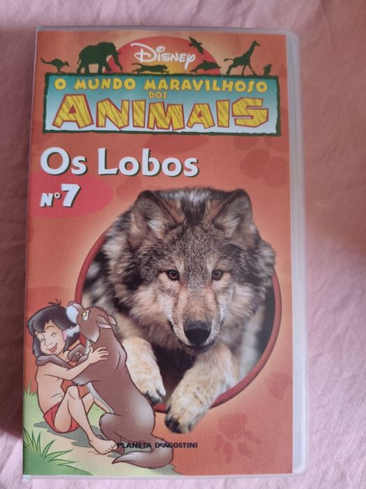 Coleção de livros sobre animais da Walt Disney