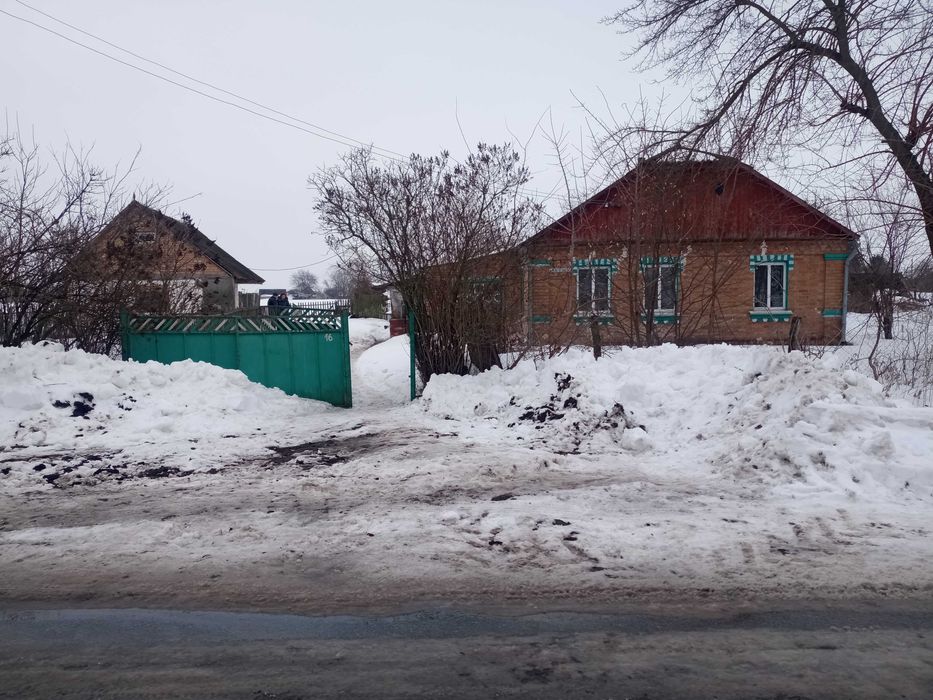 Продам дом в селі Терехове в Бердичівському районіі