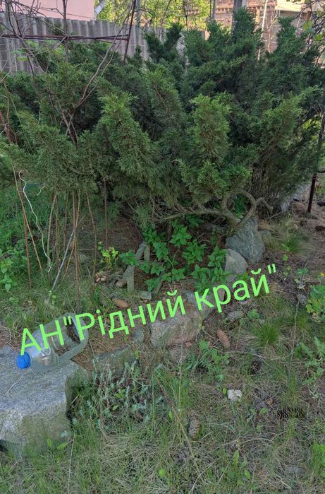 Продамо 2у цегляну дачу недалеко від пляжу " Гаваї."