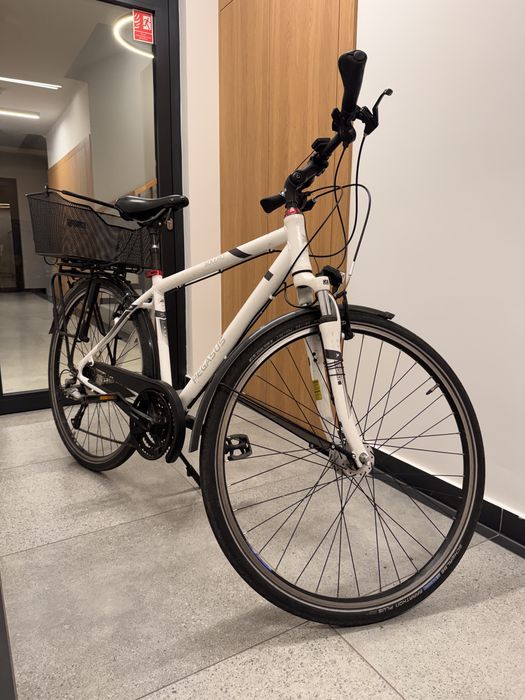 Pegasus Solero 28” – Shimano Alivio – trekking/miejski – duży kosz