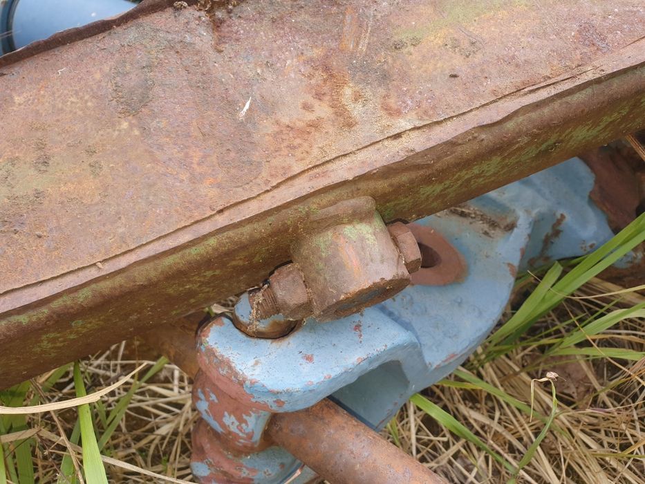 Zęby proste do krokodyla