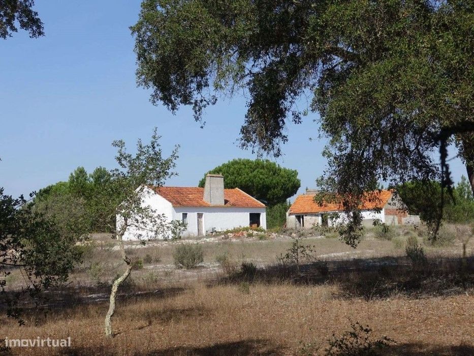 Terreno com 25 hectares em Grândola