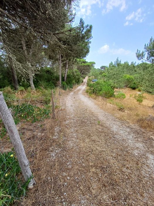 Terreno +5000m com apoio agricola em alvenaria uma nascente de água