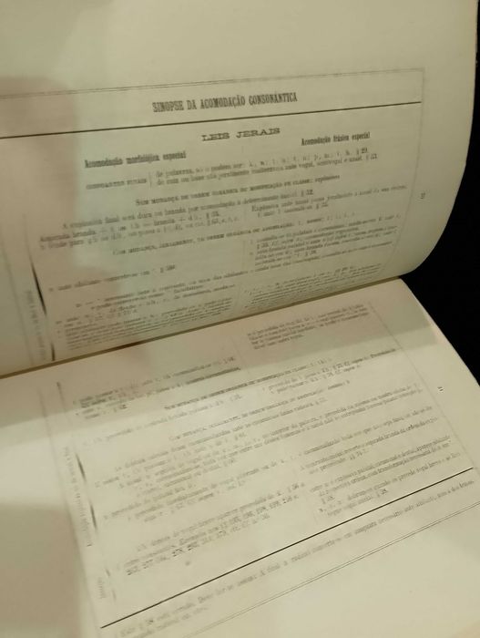 Exercícios e primeiras Leituras de Sânscrito 1889