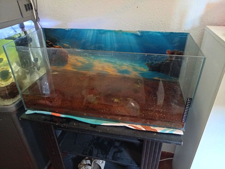 Vendo aquário de 80L