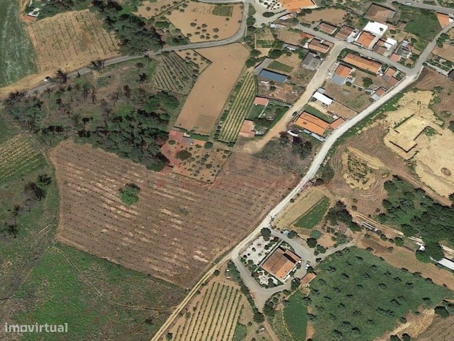 Terreno para construção na Folgosa da Madalena