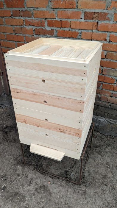 Дадан 12  Сільгосп тварини