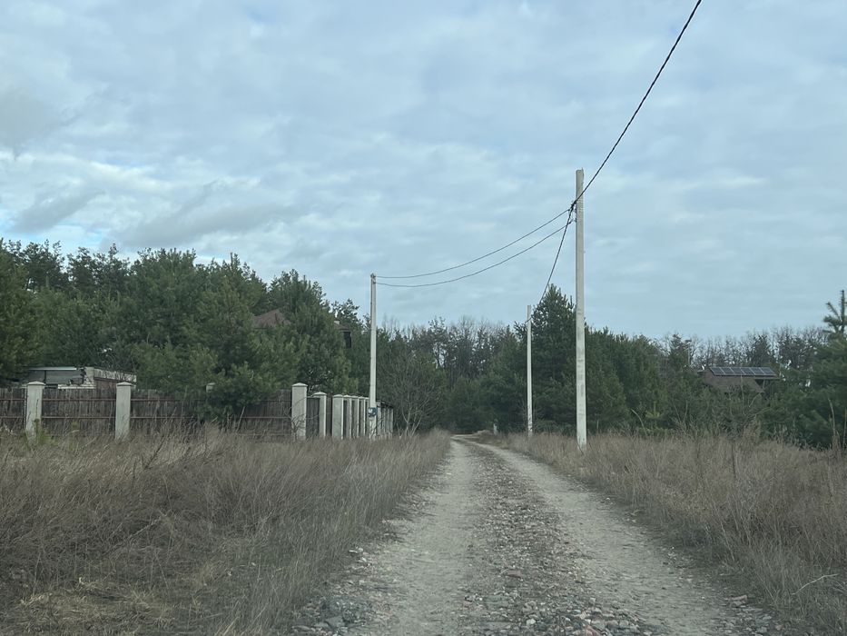 15 сот біля соснового лісу з ялинками с.Здорівка