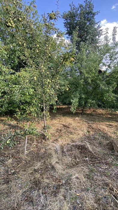 Будинок 187 км від Києва з землею Уманський рн Черкаська обл с. Червоний кут.