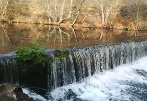 Terreno Douro troco por carro