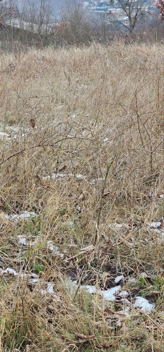 продам землю на обьездній Херсону в районі Зеленівки 0,8 га, під ОСГ