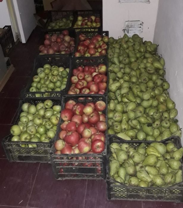 Продам дачу в с. Базарово