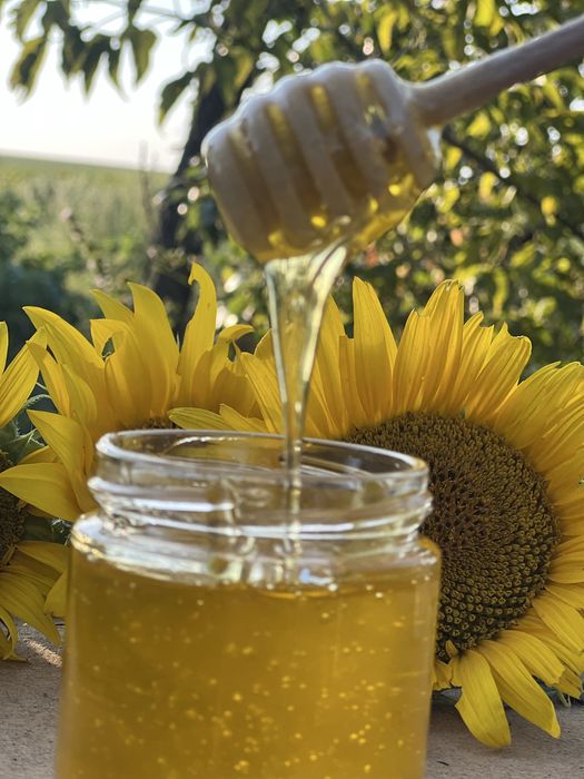 Натуральний смачний мед( сонях- різнотравʼя