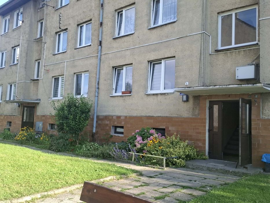 Zdjęcie 7