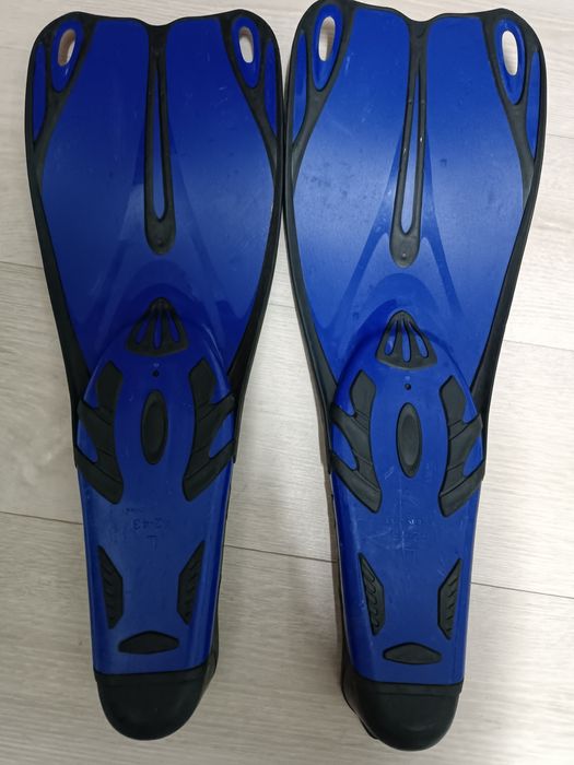 Barbatanas como novas