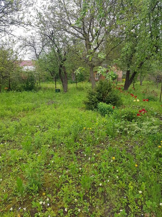 Продаж  зкмельної ділянки 22 сот, Ст. Боромикі, друга ліні, р.Десна