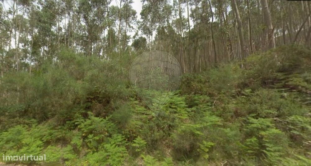 Terreno  para venda