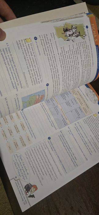 Cadernos de Revisão 5⁰ Ano