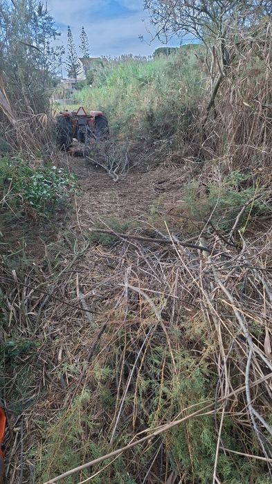 Limpeza de terrenos com corta-mato