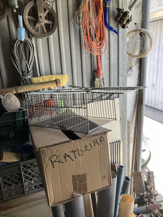 Gaiola para apanhar ratos