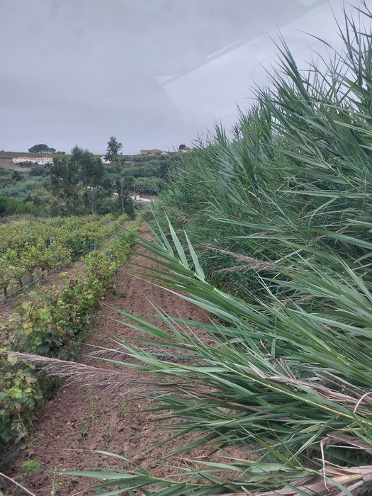 Serviço de mini giratoria - baldes e triturador ( corte erva - m