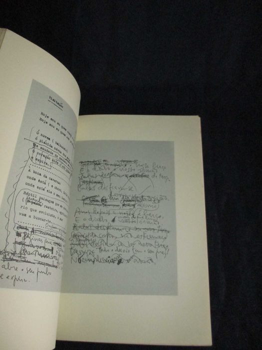 Livro A Lume Luiza Neto Jorge