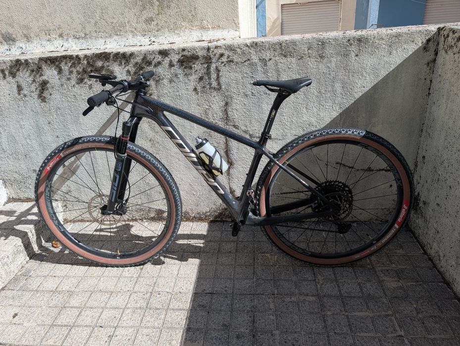 Coluer Poison SL 6.1 2021
