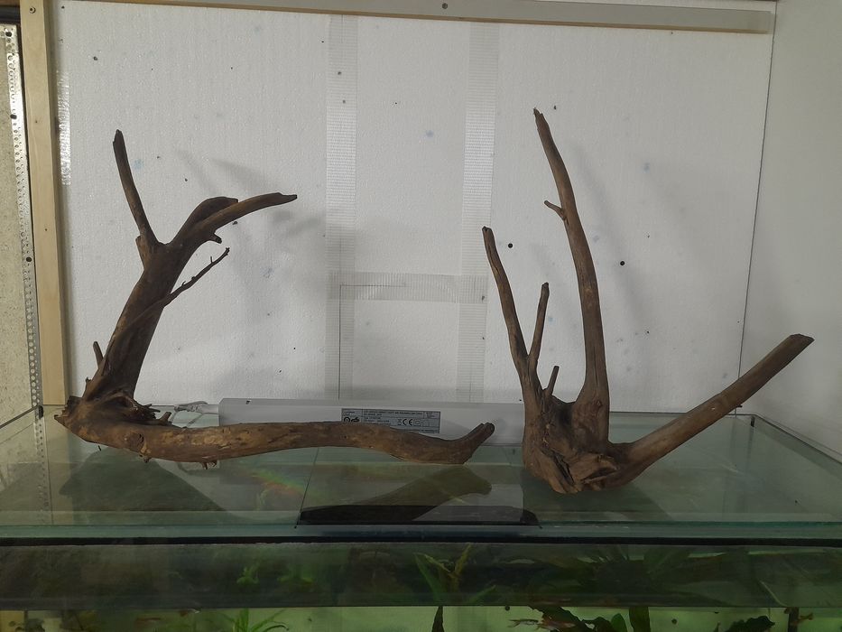 Korzenie do akwarium , naturalne