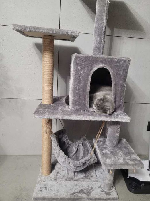 Drapak budka dla kota duży wysoki legowisko  drabinka słupek