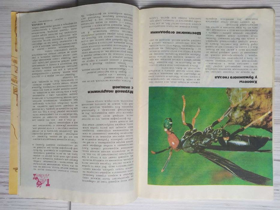 Журналы Юный натуралист 1985-1986гг (комплект)