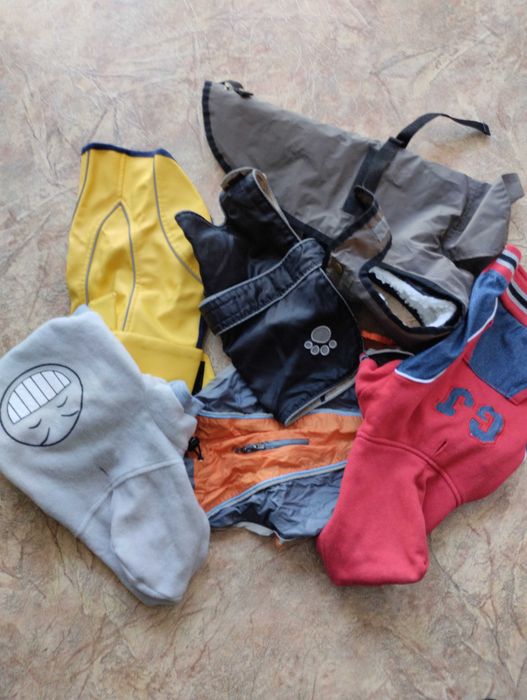 Одежда для собаки