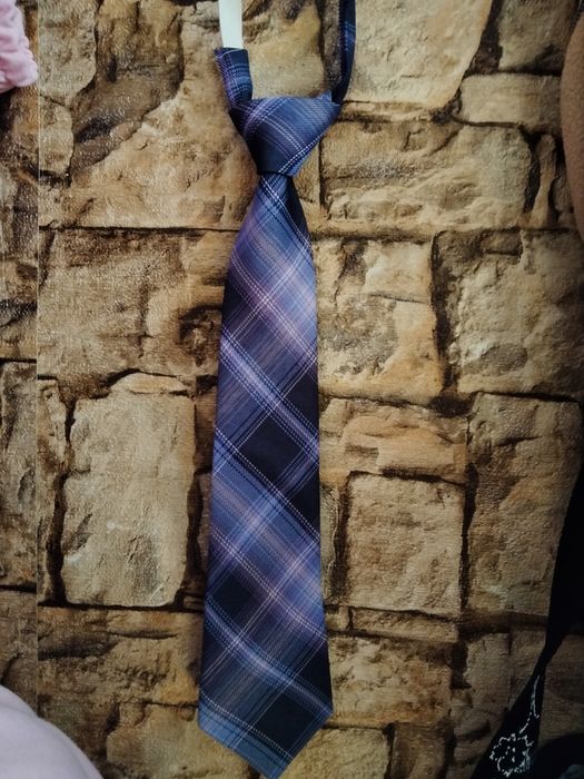 Галстук в клітинку