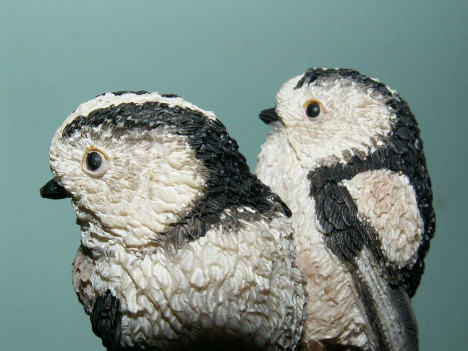 Ptaki - Raniuszek -The Country Bird Collection - Vogelwelt Collection