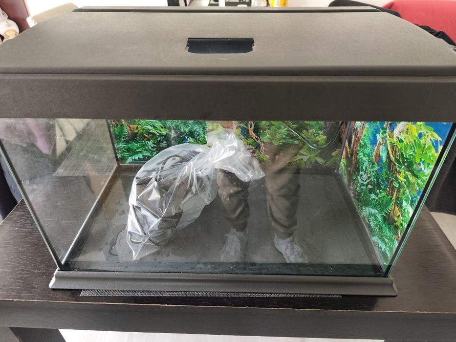 Aquário completo