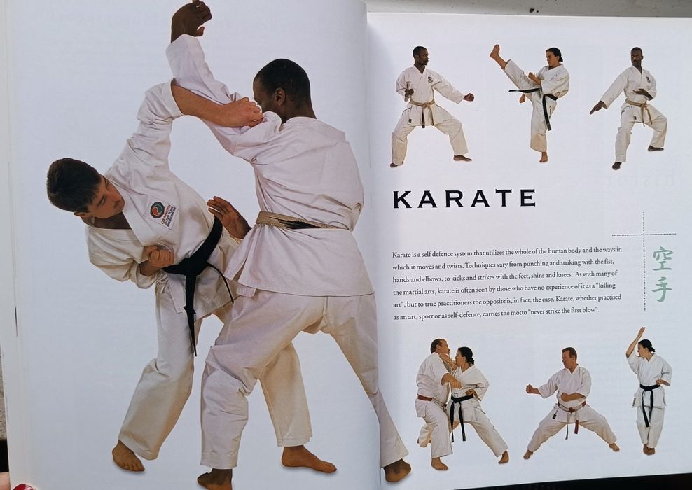 Manual prático de artes marciais "The Ultimate Book of Martial Arts"