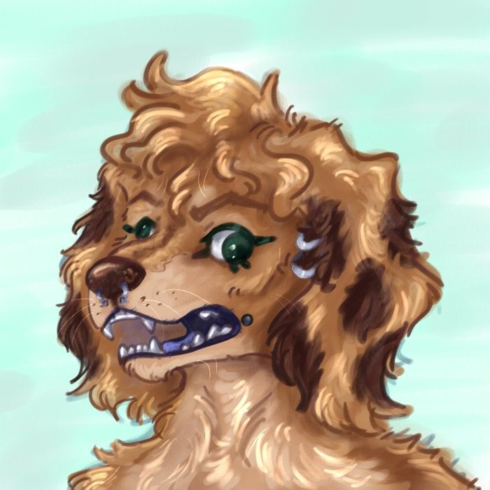 Арти малюнки тварин , Фуррі на замовлення