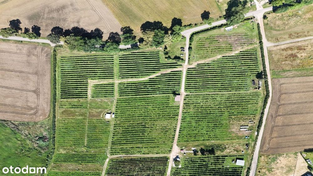 Malownicze działki budowlane ok. 1000 m² do 1500 m² - Widok 5